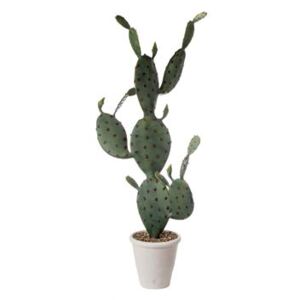L&apos;oca Nera - Kaktus LN 1N08 - 112 cm