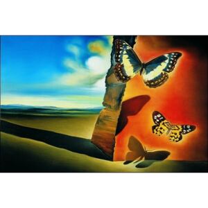 Reprodukcia, Obraz - Salvador Dali - Paysage Aux Papillons, (70 x 50 cm)