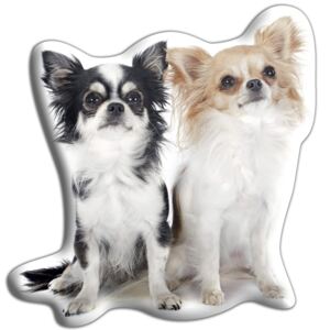 Vankúšik s potlačou dvoch Čiváv Adorable Cushions