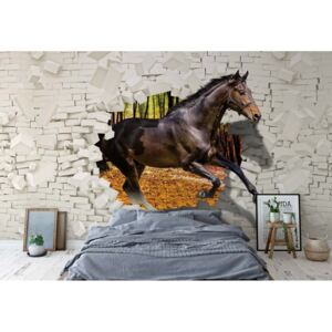 Fototapeta - Horse Jumping Through Brick Wall 3D Illusion Vliesová tapeta - 208x146 cm