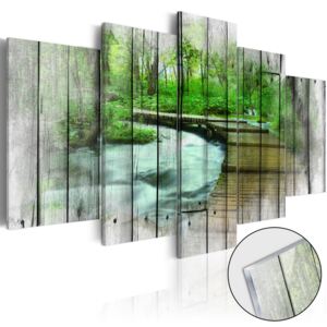 Obraz na skle Bimago - Forest of Secrets 100x50 cm