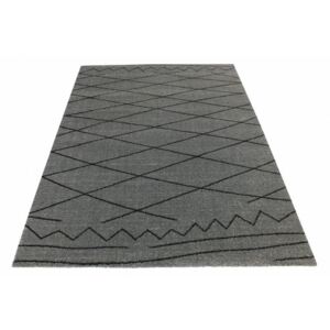 Kusový koberec Flavio sivý, Velikosti 80x150cm