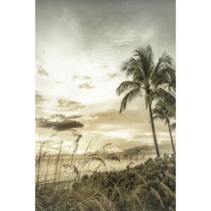 Umelecká fotografia BONITA BEACH Bright Vintage Sunset, Melanie Viola