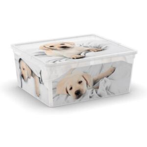 Plastový box KIS Puppy and Kitten - M