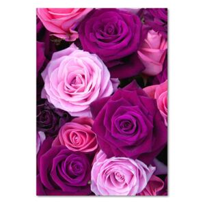 Foto obraz sklo tvrdené Ružové ruže pl-osh-70x100-f-119226087