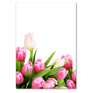 Fotoobraz na skle Ružové tulipány pl-osh-70x100-f-138798865
