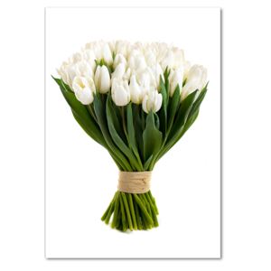 Foto obraz fotografie na skle Biele tulipány pl-osh-70x100-f-40664213
