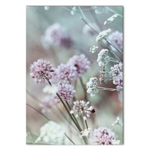 Foto obraz fotografie na skle Kvety cesnaku pl-osh-70x100-f-68608156
