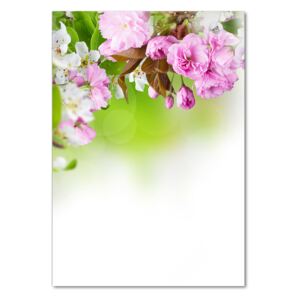 Fotoobraz na skle Jarné kvety pl-osh-70x100-f-79458656