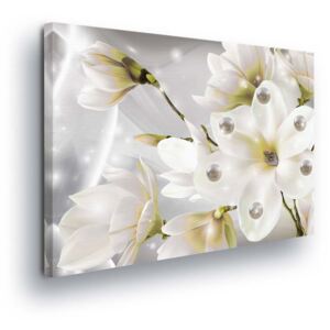 Obraz na plátne - Magic White Flowers II 60x40 cm