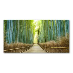 Foto obraz akrylový Bambusový les pl-oa-140x70-f-72519653