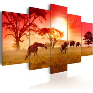 Obraz na plátne - Sunny colours of Africa 100x50 cm