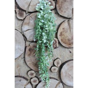 Bielozelená umelá rastlina aeschynanthus 90cm