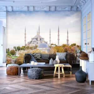 Fototapeta - Hagia Sophia - Istanbul 350x245 cm