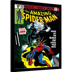 Rámovaný Obraz - Spider-Man - Black Cat