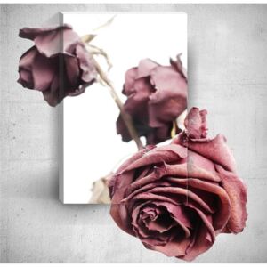 Nástenný 3D obraz Mosticx Old Roses, 40 × 60 cm