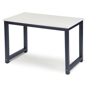 ModernHome Písací stôl 120 x 60 cm - biely, PWDNZ-301