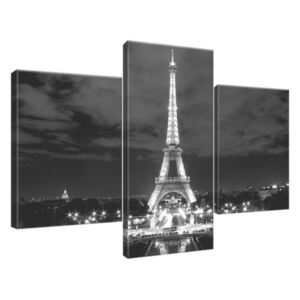 Obraz na plátne Eiffelova veža čierno-biela 90x60cm 518A_3B