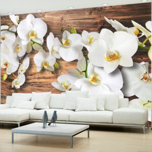 Fototapeta - Forest Orchid 100x70 cm
