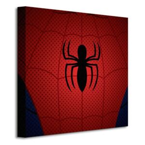 Obraz na plátne Marvel Ultimate Spider-Man (Spider-Man Torso) 40x40cm WDC95216