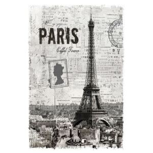 MISDA Obraz na plátne – Paris