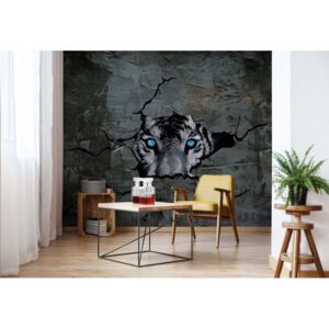GLIX Fototapeta - Tiger Hole In Concrete Wall 3D Vliesová tapeta - 254x184 cm