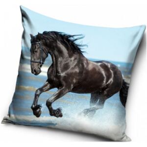 Carbotex · Obliečka na vankúš s koňom - motív Čierny Mustang - 40 x 40 cm