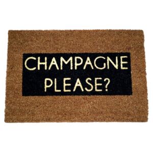 Rohožka Artsy Doormats Champagne Glitter, 40 × 60 cm