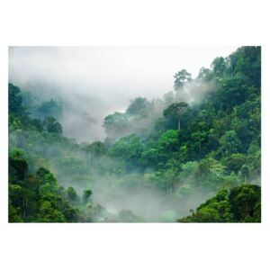 Veľkoformátová tapeta Bimago Morning Fog, 400 x 280 cm