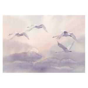 Veľkoformátová tapeta Bimago Flying Swans, 400 x 280 cm