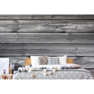 Fototapeta GLIX - Wood Plank Grey + lepidlo ZADARMO Vliesová tapeta - 254x184 cm