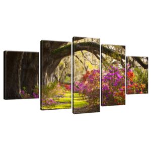 Obraz na plátne Silné duby a kvety 150x70cm 1480A_5B