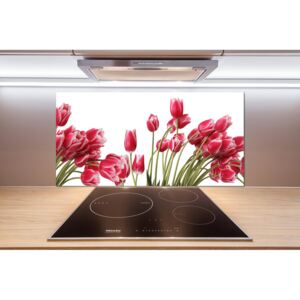 Panel do kuchyne Červené tulipány pl-pksh-100x50-f-109710799
