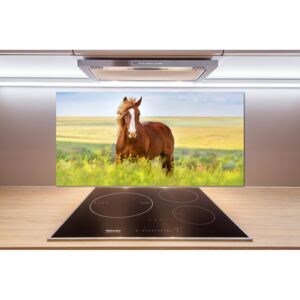 Dekoračný panel sklo Hnedý kôň pl-pksh-100x50-f-111439137