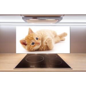 Sklenený panel do kuchynskej linky Červená mačka pl-pksh-100x50-f-126034635