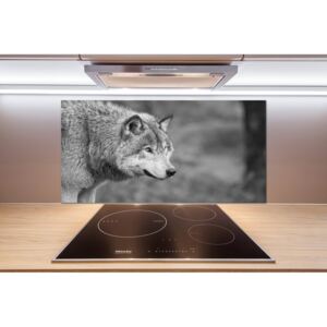Dekoračný panel sklo Sivý vlk pl-pksh-100x50-f-125421387