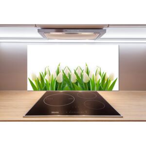 Panel do kuchyne Biele tulipány pl-pksh-100x50-f-30153186
