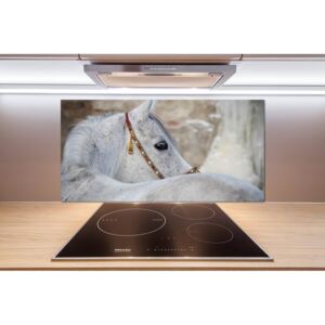 Panel do kuchyne Biely arabský kôň pl-pksh-100x50-f-143185113