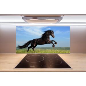 Panel do kuchyne Čierny kôň na lúke pl-pksh-100x50-f-26473191