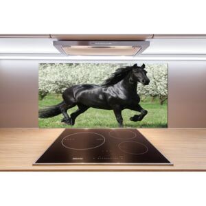 Panel do kuchyne Čierny kôň kvety pl-pksh-100x50-f-51258832