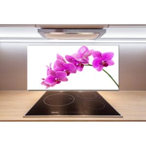 Panel do kuchyne Ružová orchidea pl-pksh-100x50-f-67691978