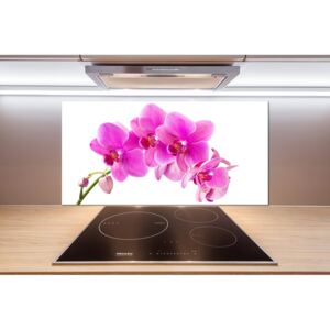 Panel do kuchyne Ružová orchidea pl-pksh-100x50-f-67673367