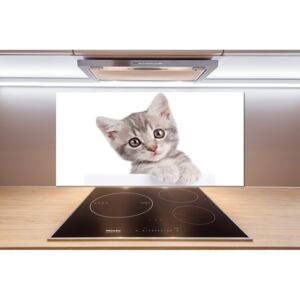 Sklenený panel do kuchynskej linky Sivá mačka pl-pksh-100x50-f-80791907