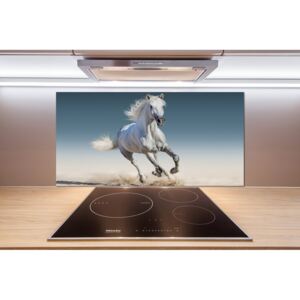 Panel lacobel Biely kôň v cvale pl-pksh-100x50-f-95257889
