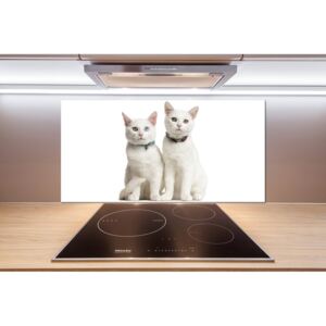 Dekoračný panel sklo Biele mačky pl-pksh-100x50-f-97350767