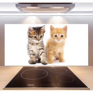 Panel do kuchyne Hnedá a červená mačka pl-pksh-120x60-f-101681955