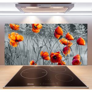 Dekoračný panel sklo Poľný mak pl-pksh-120x60-f-102051546