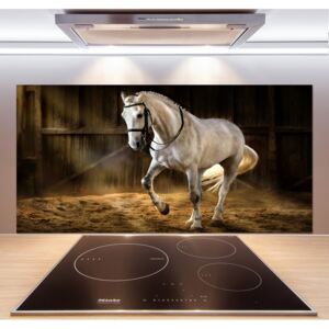 Panel do kuchyne Biely kôň v stajni pl-pksh-120x60-f-113734003