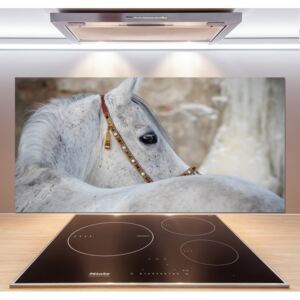 Panel do kuchyne Biely arabský kôň pl-pksh-120x60-f-143185113
