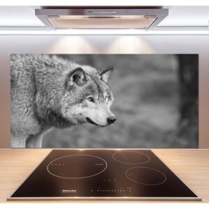 Dekoračný panel sklo Sivý vlk pl-pksh-120x60-f-125421387